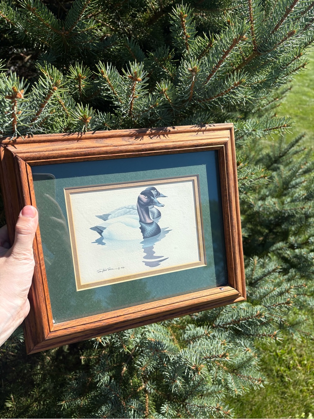 Vintage 1980 Framed Duck Art Print Wood Frame Green Mat Made in USA